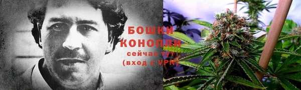 трава Бронницы