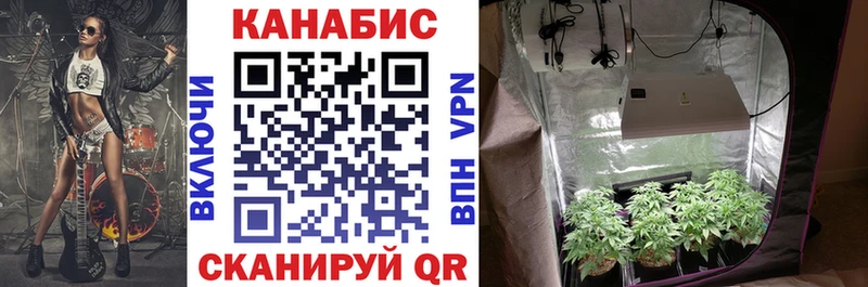 Канабис тримм  наркошоп  Перевоз 